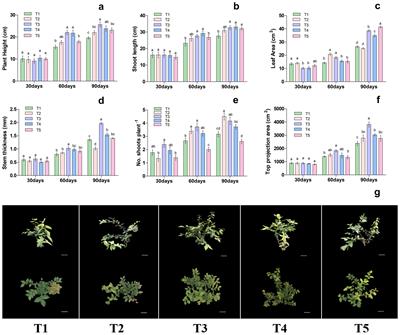 Effects of NH4+-N: NO3−-N ratio on growth, nutrient uptake and production of blueberry (Vaccinium spp.) under soilless culture